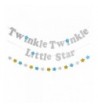 Twinkle Sparkling Birthday Decorations Supplies