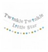 Twinkle Sparkling Birthday Decorations Supplies