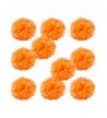 WYZworks Set 10 Decorations Weddings