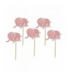 Buorsa Elephant Birthday Decorations Supplies