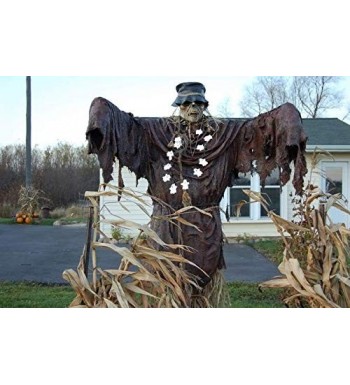 Halloween Party Decorations Clearance Sale