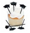 72 Graduation Cupcake Appetizer Picks