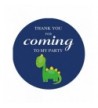 MAGJUCHE Dinosaur Stickers Birthday Decorations