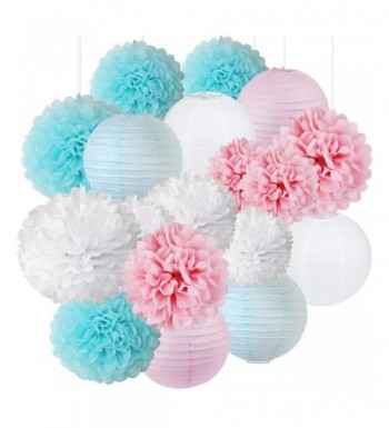 Gender Reveal Supplies Decorations Lanterns