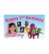 Demea Printing Barney Birthday Banner