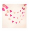 Vilight Hearts Garland Party Decorations