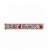 12ft Foil Ladybug Shower Banner