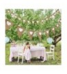 Discount Bridal Shower Party Decorations On Sale