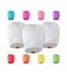 All Natural Shop Chinese Lanterns