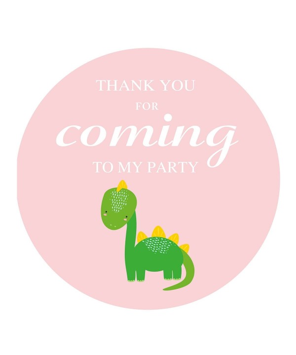 MAGJUCHE Dinosaur Stickers Birthday Decorations