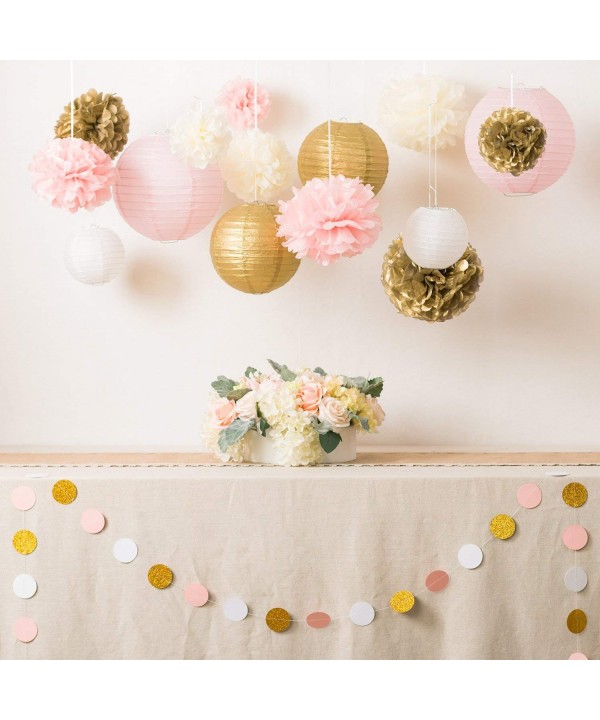 succes Når som helst husmor Tissue Pom Poms Flowers - Paper Lanterns - Circle Paper Garland - Paper Flower  Decorations Set for Bridal Shower Wedding Birthday Baby Shower Christmas -  Dessert Table Decoration Suplies - C51883TGXH0