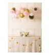 New Trendy Bridal Shower Party Decorations