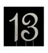 13th Birthday Cake Topper Decoration