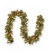 National Tree Glistening Garland GN19 300 9A 1