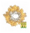Gigoop Operated Holidays Decorate Batteries