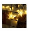 Trendy Seasonal Lighting Wholesale