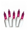Everglow Christmas Party Light 100ct