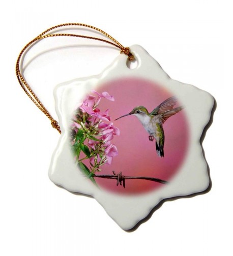 3dRose Throated Hummingbird Snowflake Ornament
