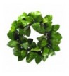 HYX 0848 24 Magnolia Leaf Wreath