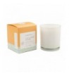 Paddywax Candles Collection Inspirational 8 Ounce