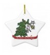 Christmas Ornaments Catastrophe Cartoon Ornament