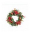 Northlight Glittered Artificial Christmas Wreath Unlit