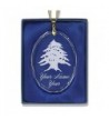 SkunkWerkz Christmas Ornament Personalized Engraving