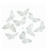 SILVER GLITTER BUTTERFLY GARLAND 5x2 5x78