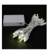 Novelty Lights Battery Operated Christmas