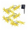 GDEALER Dragonfly Waterproof Decorative Landscape