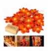 MiMoo Thanksgiving Battery Garlands String