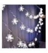 lishine Snowflake Waterproof Decorative Decoration