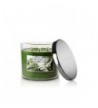 Bath Body Works Slatkin Frosted