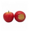 Seasonal Decorations Wholesale
