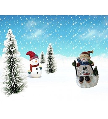 Fashion Christmas Snow Globes for Sale