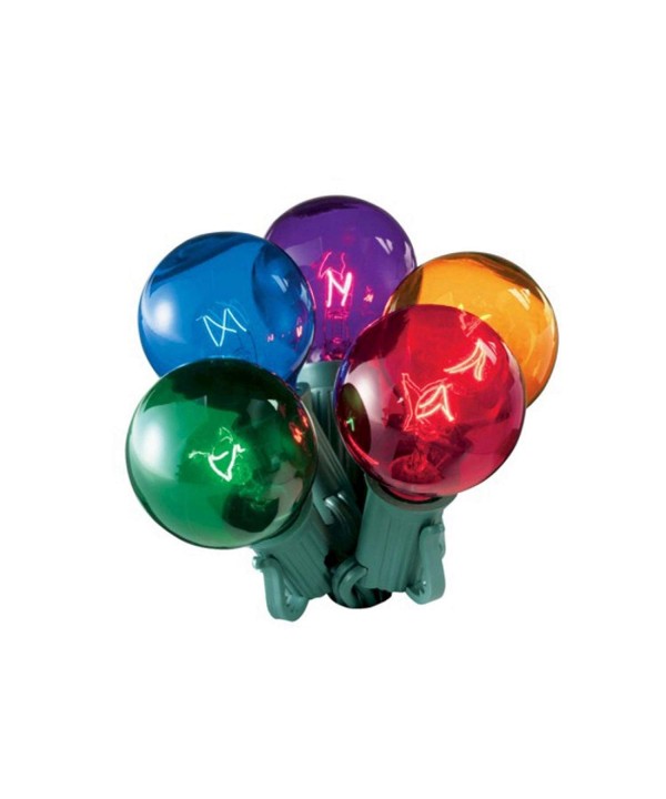 Northlight Multi Color Transparent Christmas Lights