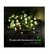 Hot deal Seasonal Lighting Wholesale