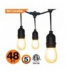 OOOLED Weatherproof Incandescent Included Perfect Lights Black