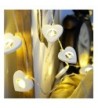 Indoor String Lights Wholesale