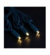 New Trendy Indoor String Lights