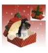 SCHNAUZER Uncropped Christmas Ornament RGBD103B