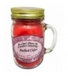 Our Own Candle Company Scented