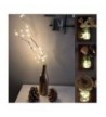 Brands Indoor String Lights Clearance Sale