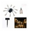 Cheap Real Seasonal Lighting Outlet Online