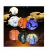 Halloween Decorations Lanterns Holiday Skeleton