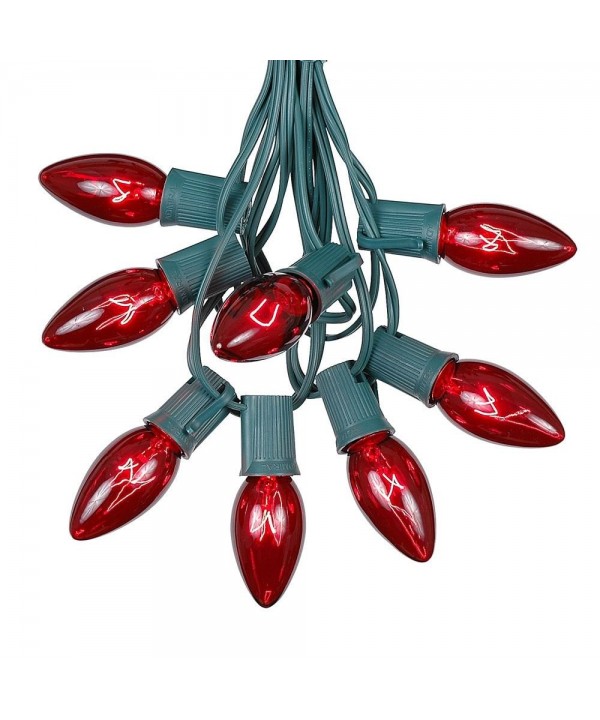 Novelty Lights Twinkle Outdoor Christmas