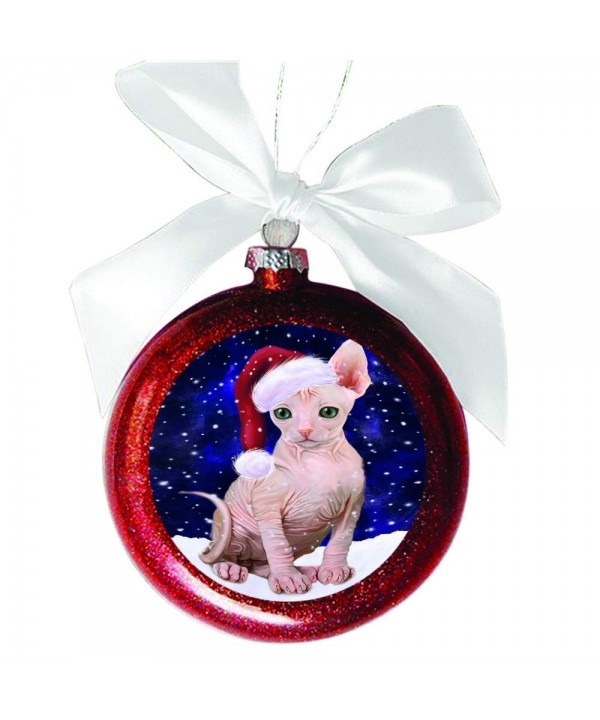 Doggie Day Christmas Ornament RBSOR48737