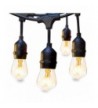 Commercial Weatherproof Dimmable Heavy Duty Decorative