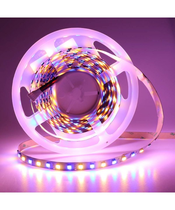 LEDENET Flexible Lighting 360LEDs Non Waterproof