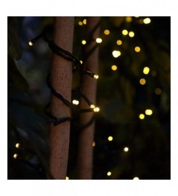 Hot deal Outdoor String Lights